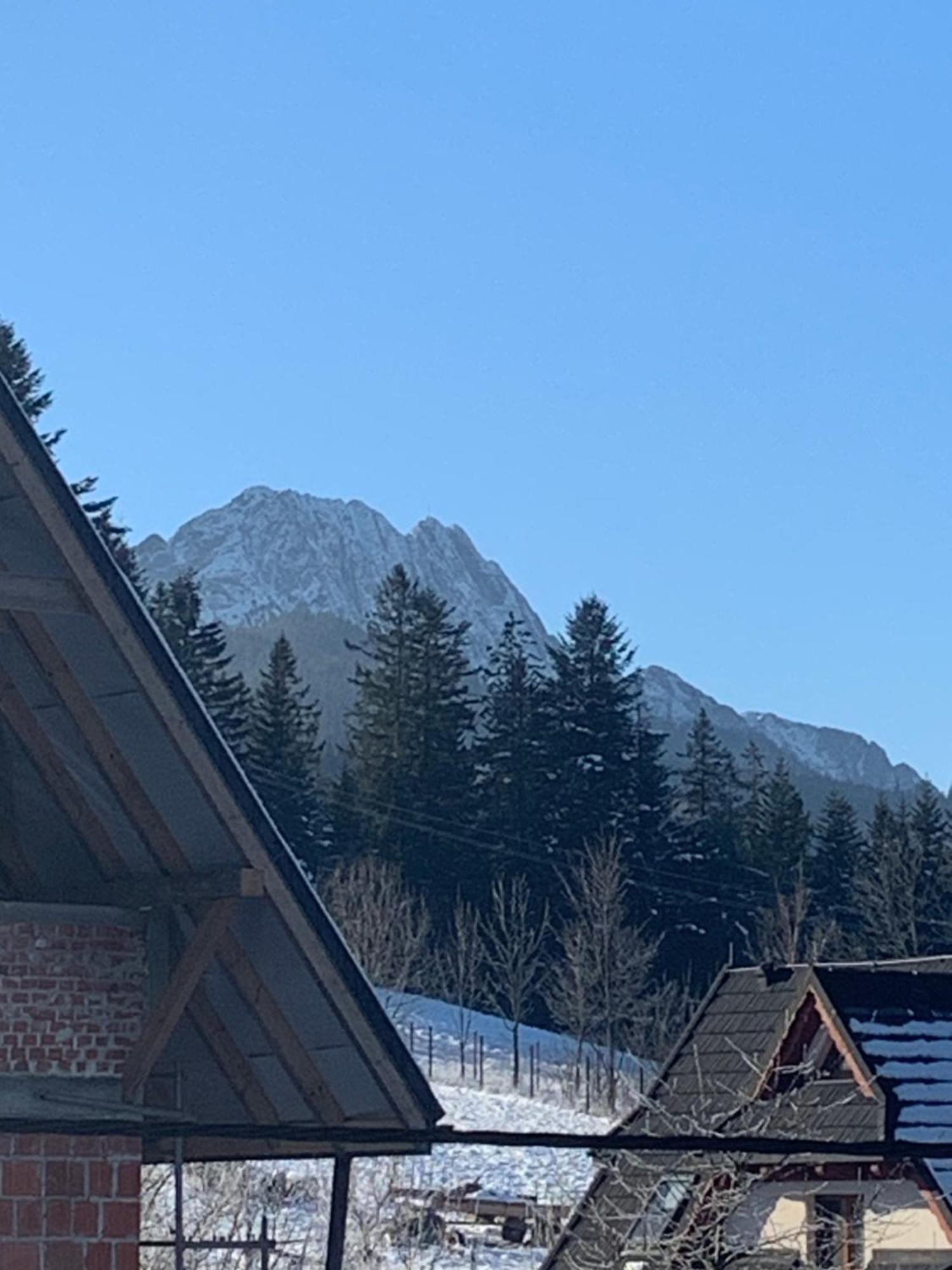 Pod Gorami Apartment Zakopane